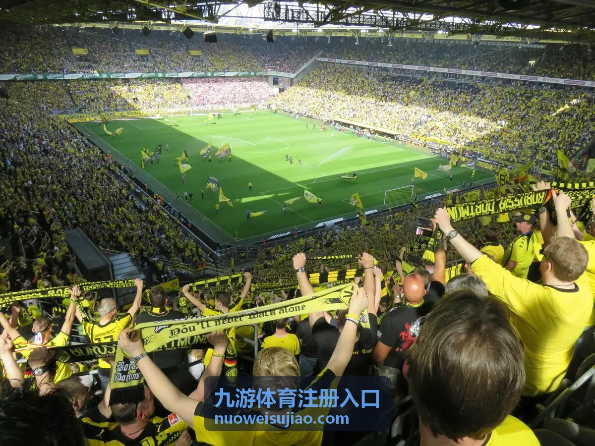 九游体育注册入口平台功能浏览界面示意