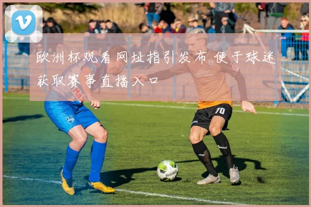 欧洲杯观看网址指引发布 便于球迷获取赛事直播入口
