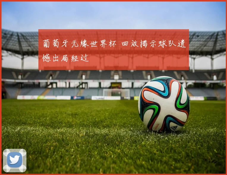 葡萄牙无缘世界杯 回放揭示球队遗憾出局经过