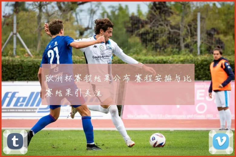 欧洲杯赛程结果公布 赛程安排与比赛结果引关注