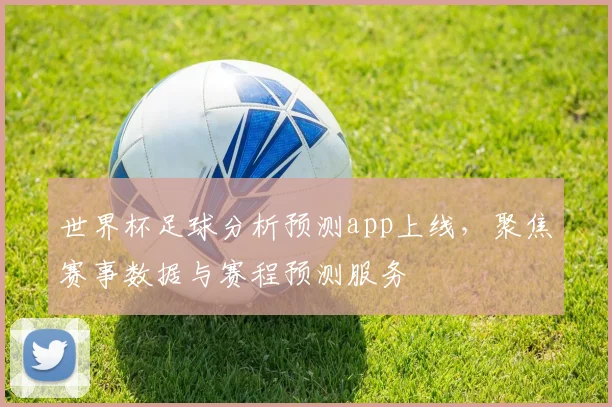 世界杯足球分析预测app上线，聚焦赛事数据与赛程预测服务