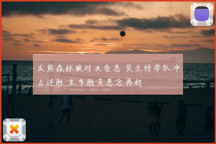 灰熊森林狼对决告急 莫兰特带队冲击连胜 末节胜负悬念再起