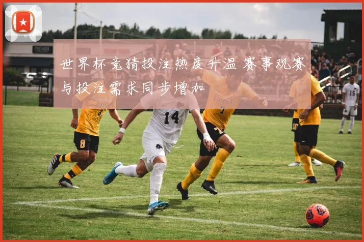 世界杯竞猜投注热度升温 赛事观赛与投注需求同步增加