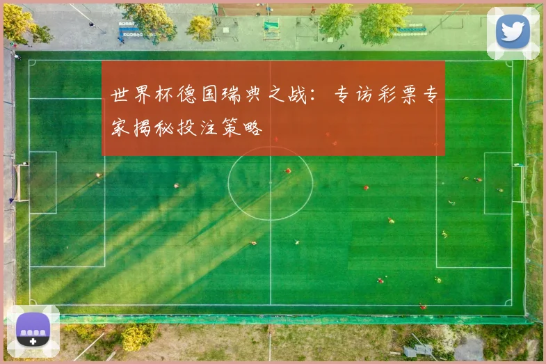世界杯德国瑞典之战:专访彩票专家揭秘投注策略
