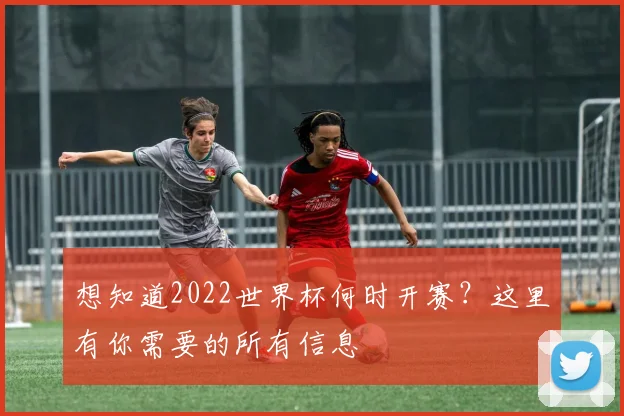 想知道2022世界杯何时开赛?这里有你需要的所有信息
