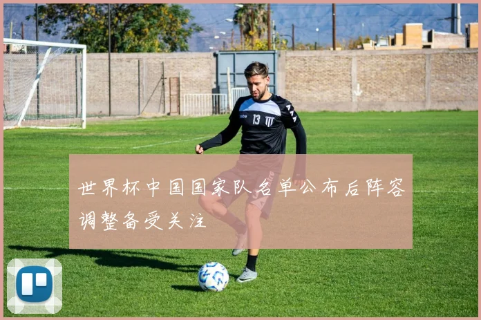 世界杯中国国家队名单公布后阵容调整备受关注