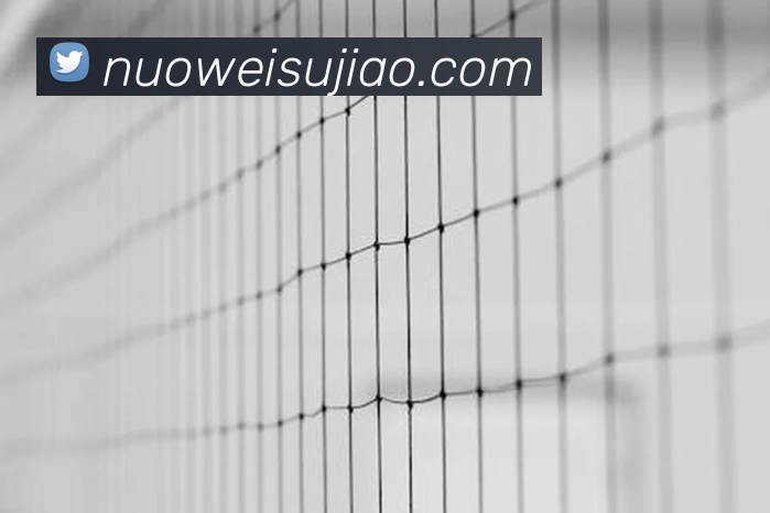 世界杯官网线上平台平台生态图